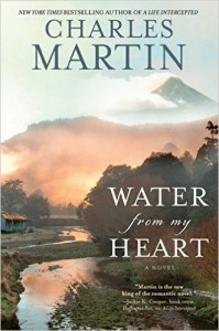 Water from My Heart: A Novel Review