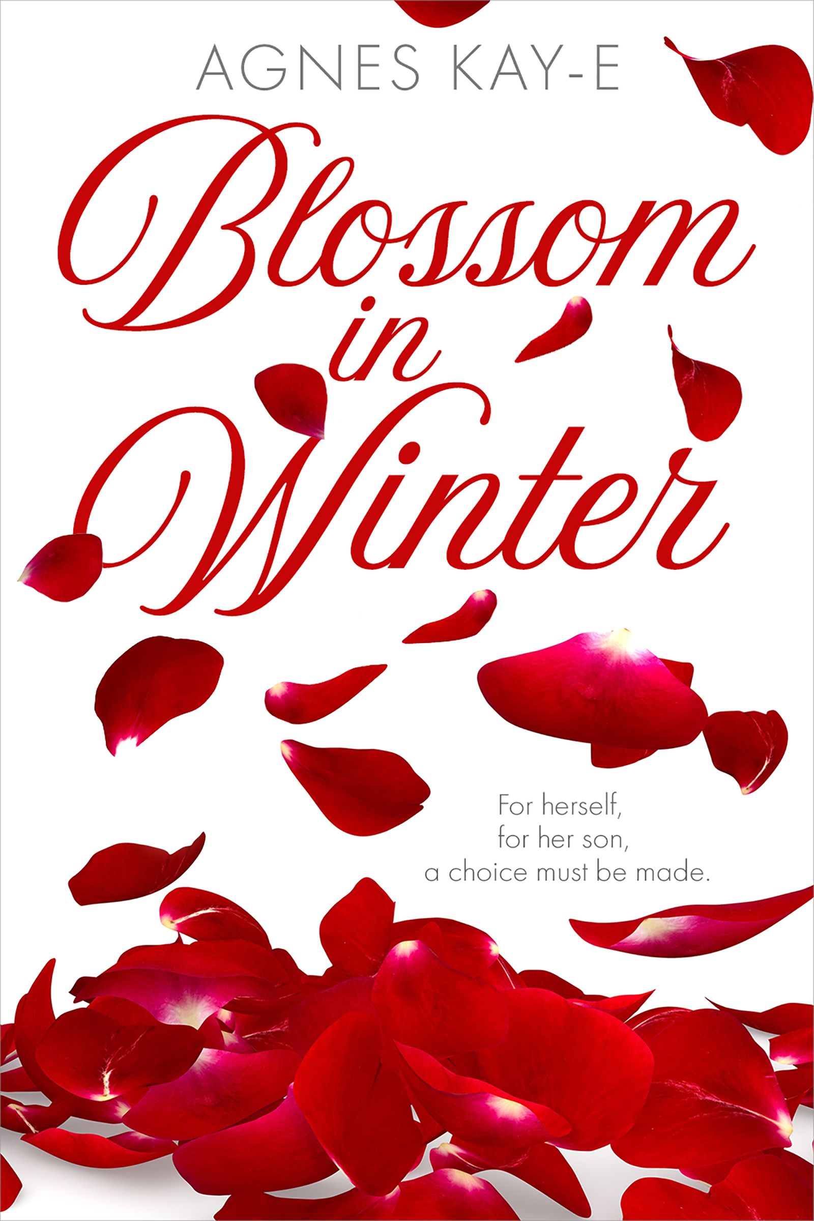 BLOSSOM IN WINTER EBOOK COVER