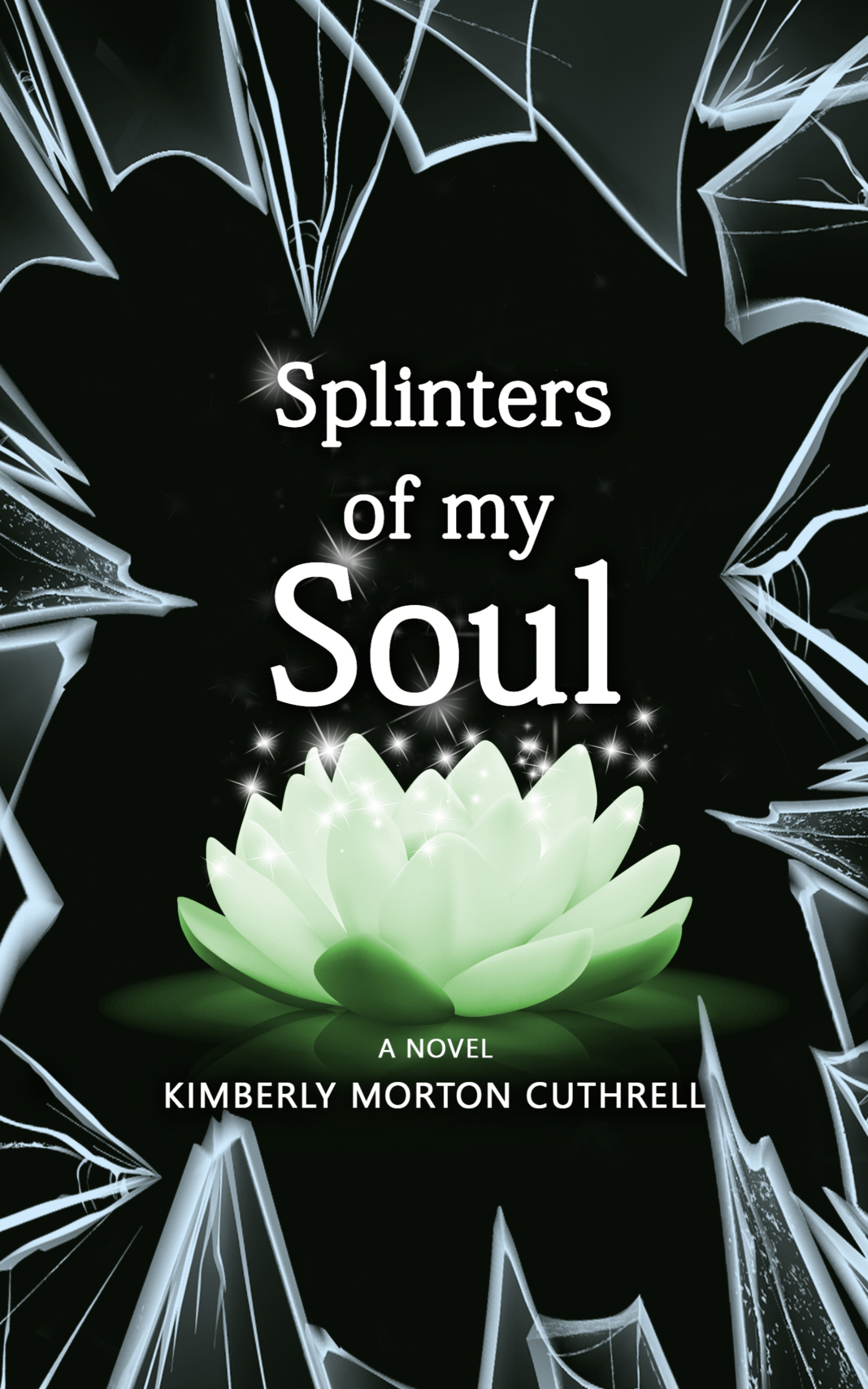 Splinters of My Soul