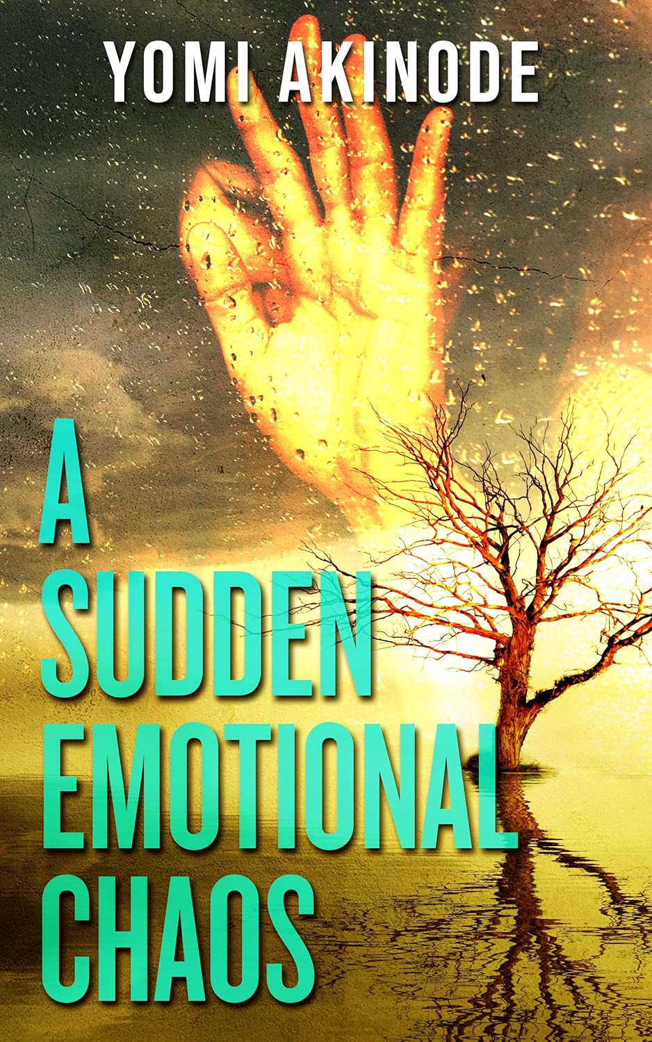 A Sudden Emotional Chaos by Yomi Akinode